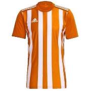 T-shirt Korte Mouw adidas T-shirt Striped 21