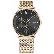Horloge Tommy Hilfiger 1791506