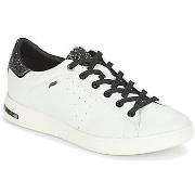 Lage Sneakers Geox JAYSEN