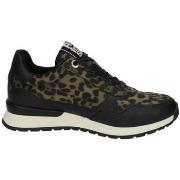 Lage Sneakers Refresh -