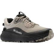 Lage Sneakers Columbia BM6851027