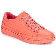 Lage Sneakers Timberland San Francisco Flavor Oxford