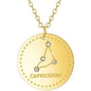 Collier Sc Crystal B2449-CAPRICORNE