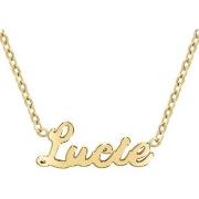 Collier Sc Crystal B2689-DORE-LUCIE