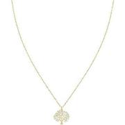 Collier Sc Bohème B3005-DORE