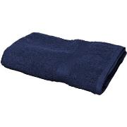 Serviettes et gants de toilette Towel City RW1578
