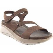 Chaussures Interbios Sandale femme INTER BIOS 6901 taupe