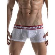 Boxers Code 22 Boxer Energy Code22