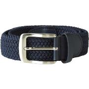 Ceinture Duke D555 Dani