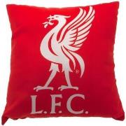 Coussins Liverpool Fc TA544