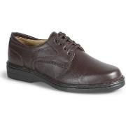 Derbies Calzamedi CHAUSSURE M 2007