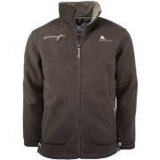 Polaire Peak Mountain Blouson polaire homme CIK