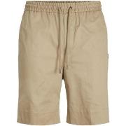 Short Jack &amp; Jones 12205516 STAKON-LEAD GRAY