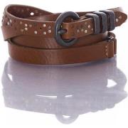 Ceinture Vanzetti V5158A6370 645