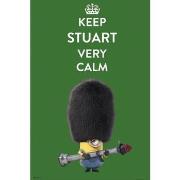 Affiches, posters Grupo Erik Poster Minions Format 61 x 91.5 cm