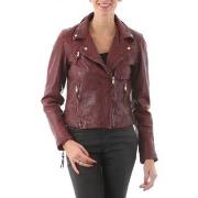 Veste Redskins Bridget JANEIRO Rouge