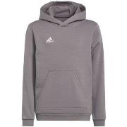 Sweat-shirt enfant adidas Entrada 22 Hoody