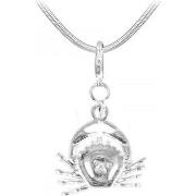 Collier Sc Crystal SN016+CH0359-ARGENT