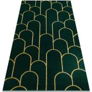 Tapis Rugsx Tapis EMERALD exclusif 1021 glamour, élégant art 80x150 cm