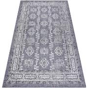 Tapis Rugsx Tapis SIZAL SION Cadre, ornement, vintage 2832 180x270 cm