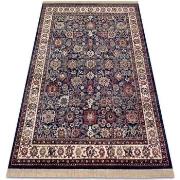 Tapis Rugsx Tapis WINDSOR 22991 ORNEMENT, CADRE, LA FRANGE 60x100 cm