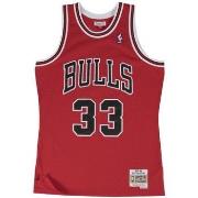 Secteur médical / alimentaire Mitchell And Ness Maillot NBA Scottie Pi...