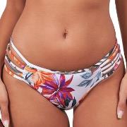 Maillots de bain Sun Playa Aphrodite