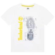 T-shirt enfant Timberland T25T82-10P-C