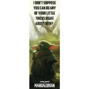 Affiches, posters Star Wars: The Mandalorian TA8162