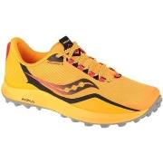 Chaussures Saucony Peregrine 12