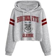 Sweat-shirt Harry Potter Hogwarts