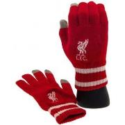 Gants enfant Liverpool Fc TA10193