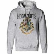 Sweat-shirt Harry Potter HE1380