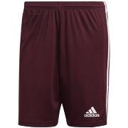 Pantalon adidas Squadra 21