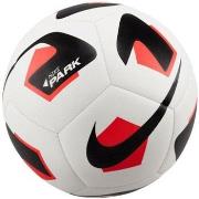 Ballons de sport Nike Park Team 20