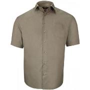 Chemise Doublissimo chemisette forte taille unie primino marron