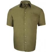 Chemise Doublissimo chemisette forte taille unie primino vert