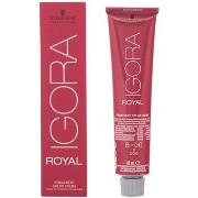 Colorations Schwarzkopf Igora Royal 8-00