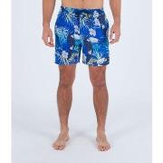 Maillots de bain Hurley MBS0011510 CANNONBALL VOLLEY 17-H4026 HYDRO