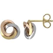 Boucles oreilles Brillaxis Boucles d'oreilles cercles 3 ors 9 carats