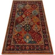 Tapis Rugsx Tapis en laine POLONIA Samari Ornement rubis 200x300 cm