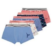 Boxers Petit Bateau A073A00 X5