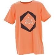 T-shirt enfant Quiksilver Tonal vibes flaxton youth