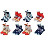 Chaussettes enfant Pat Patrouille Pack de 8 Paires 2147