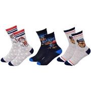 Chaussettes enfant Pat Patrouille Pack de 3 Paires 6847A 24/26