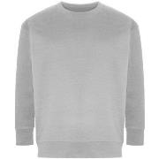 Sweat-shirt Ecologie Crater