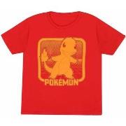 T-shirt enfant Pokemon HE1512