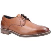 Derbies Hush puppies Brayden