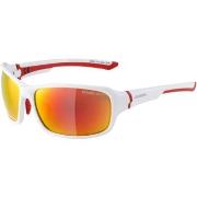 Lunettes de soleil Alpina -