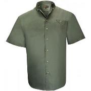 Chemise Doublissimo chemises popeline dundee vert